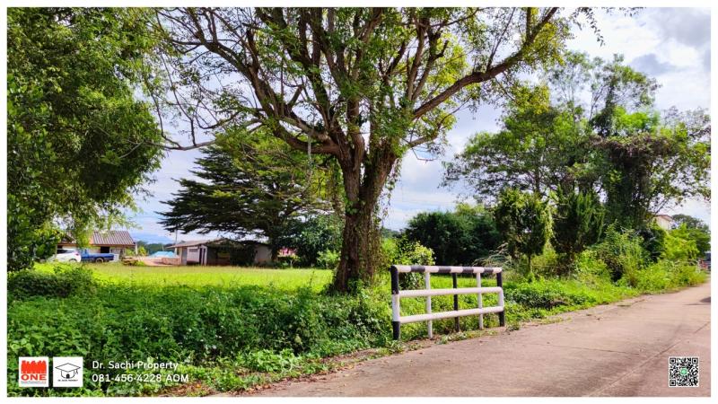 ขายด่วน!! ที่ดินสวยพร้อมสิ่งปลูกสร้าง 1-0-9 ไร่ อ.เชียงคำ จ.พะเยา ติดถนน 4 เลน ทางไปอำเภอเทิง