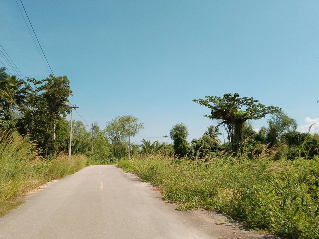 ขายที่ดินแบ่งแปลง แถว ต.บางชนะ อ.เมือง สุราษฎร์ธานี เริ่ม 520,000 บาท