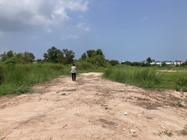 ขายด่วนมาก ที่ดิน 1 งาน ตำบลหนองปลาไหล อำเภอบางละมุง จังหวัดชลบุรี