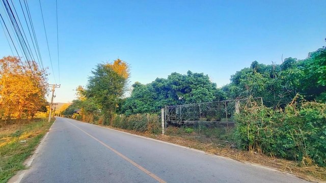 ขายที่ดินสวนลำไย  อำเภอสันทราย จังหวัดเชียงใหม่ ขนาด 1 ไร่ 45 ตารางวา