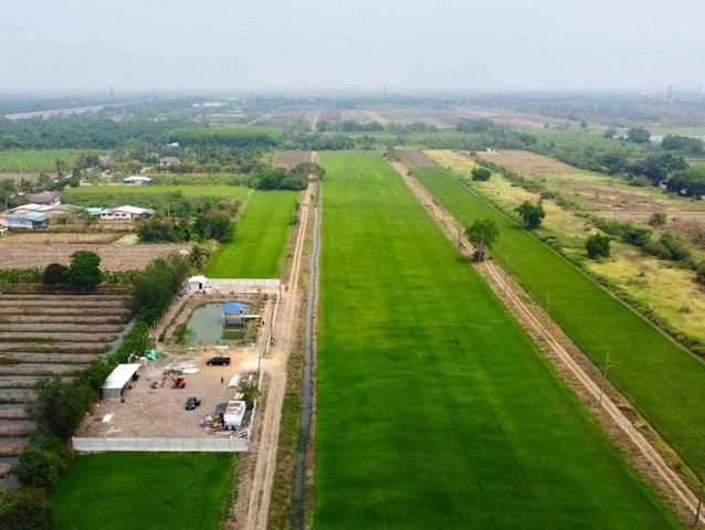 #ที่ดินคลอง 9 หนองเสือ เข้าซอยเพียง 200 เมตร ขนาด 1ไร่ 5ตร.ว 1.2 ล้านเท่านั้น เข้าจาก ถ.รังสิต-นครนายก 4.3 กม.