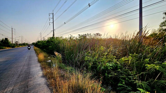 ขายที่ดินติดถนนเรียบ คลอง 12 ลำลูกกา-หนองจอก ติดคลอง เกือบ 2 ไร่ ทำเลเหมาะ เหมาะปลูกบ้าน ทำร้านค้า  หรือซื้อเก็งกำไรในอนาคตได้เลย