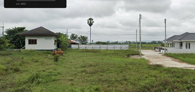 ขาย ที่ดินเปล่า ถมแล้ว เนื้อที่ 56.9 ตร.ว.ต.มะขามสูง อ.เมือง จ.พิษณุโลก 