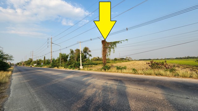 ขายที่ดินติดถนนลาดยางคลอง 12 ลำลูกกา-หนองจอก ขายราคารวมทั้งหมด 29,102,900 บาท ( มีเนื้อที่ดิน 10-0-99 ไร่ )ขายที่ดินติดถนนเรียบ คลอง 12 ลำลูกกา-หนองจอก 10 ไร่ ใกล้ โครงการ เรนวูด ปาร์ค คลอง11 ลำลูกกา เหมาะจัดสรรแบ่งแปลงที่ดินขาย หรือ ทำโครงการบ้านขาย ที่ตั้ง:  4003 ตำบล ลำไทร อำเภอลำลูกกา ปทุมธานีที่ดินคลอง12 ลำลูกกา-หนองจอก เนื้อที่ 10-0-99 ไร่ - ก 21 ม. *ด้านหน้า ติดถนนเรียบคลอง 12 ลำลูกกา ถ