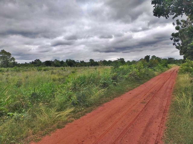 ขายที่ดิน ต.ด่านจาก อ.โนนไทย จ.นครราชสีมา  PAP7-0563