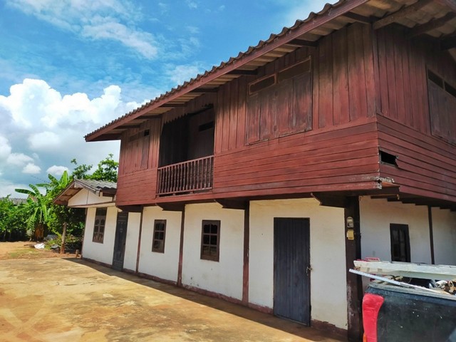 รายละเอียดเพิ่มเติม Code ID :  PAP1-0198   ราคาขาย  950,000  บาท- ขนาดพื้นที่ :  162 ตรว. - พื้นที่ใช้สอย :  390.5 ตรม. - จำนวนห้อง :  2 ห้องนอน 2 ห้องน้ำ  - ที่จอดรถ :   1 คัน- บ้านหันทางทิศ :  ใต้ พิกัดทรัพย์ :  https://maps.app.goo.gl/EFYiuwPFer7zBS4N8    สถานที่ใกล้เคียง- ใกล้  ดูโฮม สาขา นครราชสีมา- ใกล้  แม็คโคร ฟู้ดเซอร์วิส หัวทะเล- ใกล้  มหาวิทยาลัยเทคโนโลยีราชมงคลอีสาน- ใกล้  โลตัส โคราช 2สอบถามเพิ่มเติม/นัดชมโทร. 097-419-5982(พลอย)โทร. 096-932-4624