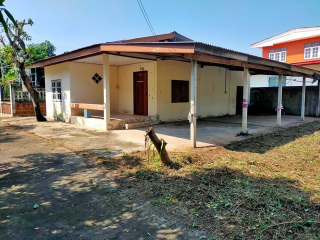 ขาย บ้านเดี่ยว 1 ชั้น ต.ตะคุ อ.ปักธงชัย จ.นครราชสีมา  PAP4-0337