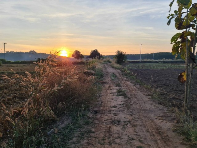 ขายที่ดินติดแม่น้ำโขง 18-2-70 ไร่ ต.กุดบง อ.โพนพิสัย จ.หนองคาย หน้าติดถนนโยธาธิการ หนองคาย หลังติดแม่น้ำโขง  ซื้อทรัพย์โปรพิเศษผ่อนโดยตรงกับเจ้าของได้ ทรัพย์ดีราคาคุยกันได้แถมวางดาวน์ผ่อนต่อได้  ขายยกแปลงไร่ละ 2  ล้านบาท  แบ่งขายไร่ละ 3.5 ล้านบาท ใกล้สะพานมิตรภาพไทย - ลาว  อยู่ในแหล่งชุมชน ใกล้โรงเรียน ใกล้โรงพยาบาล ใกล้วัดสำคัญทางพุทธศาสนาหลายจุด  ด้านหลังวิวแ