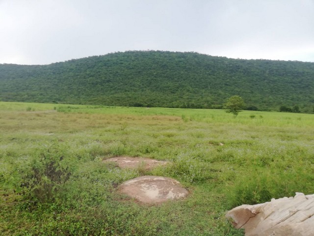 ขายที่ดินติดภูเขา ภูเวียง ที่ดินวิวเขาสวยงามมากธรรมชาติสุดสุด อากาศดีปลอดโปร่งร่มเย็นสบาย มีบ่อน้ำสาธารณะใช้ประโยชน์อุปโภคได้ ที่ดินตั้งอยู่ที่  หมู่ที่ 14 ต.นาจาน อ.สีชมพู จ.ขอนแก่น เนื้อที่รวม 124-2-73 ไร่ มี 6 โฉนด เช่า 1200 บาท/ไร่/ปี  แบ่งขายเป็นไร่ๆ ราคาไร่ละ 300,000 บาท   แบ่งขายเพียง 2 โฉนดเท่านั้น ค่าใช้จ่ายวันโอนทั้งหมดคนละครึ่ง ,ฉ.13243 เนื้อที่ 21-2-27 ไร่ฉ.13244 เนื้อที่ 23-2-52 