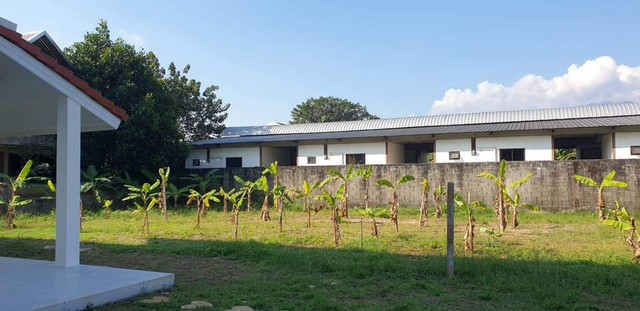 ขายที่ดิน 127ตรว. 3.3ลบ. ถม น้ำ ไฟ วิวดอย น้ำไม่ท่วม ต.ป่าตัน อ.เมือง เชียงใหม่