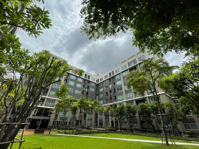   รายละเอียดเพิ่มเติม Code ID : AI 0612  ราคาขาย  1,796,450 บาท- พื้นที่ใช้สอย :   30.50 ตารงเมตร- จำนวนห้อง :  1 ห้องนอน 1 ห้องน้ำ  - ชั้น :  5- อาคาร  :  C  พิกัดทรัพย์ : https://maps.app.goo.gl/epjJWsJsgdFScvHc8    สถานที่ใกล้เคียง- ใกล้มหาวิทยาลัยสยาม- ใกล้เดอะ เซอร์เคิล - ใกล้โรงพยาบาลพญาไท 3- ใกล้โรงพยาบาลบางไผ่ สอบถามเพิ่มเติม/นัดชมโทร. 097-419-5982(พลอย)โทร. 096-932-4624(ออมสิน)Line : @panaya (มี@ด้านหน้า)ปรึกษาสินเชื่อฟรี One Stop Service ดูแลตั้งแต่ต้นจนจบบ�