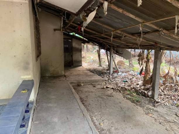 โซนสันกำแพง ขายเพียง 1.65 ล้าน 100 ตรว. 4 นอน 2 น้ำ บ้านเดี่ยวชั้นเดียว #ต้นเปา บริเวณรอบๆ เป็นบ้านจัดสรร ใกล้เมือง เดินทางสะดวกสบาย