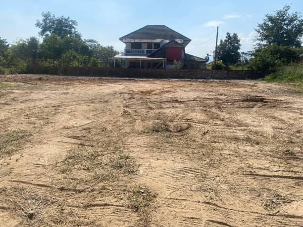 ขายด่วน ตรว.ละ 8,000 บาท โซนสันทราย หลังมอแม่โจ้ มี 2 แปลง 157 ตรว. และ 298 ตรว. เดินทางเข้าเมือง 15 นาที