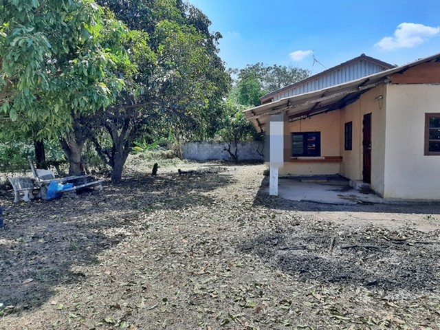 รายละเอียดเพิ่มเติมCode ID : PAP-1-0273 ราคาขาย      730,000 บาท- ขนาดพื้นที่ :  157 ตร.ว (1 งาน / 57 ตร.ว) - พื้นที่ใช้สอย :   148.50 ตรม.- จำนวนห้อง : - ห้องนอน - ห้องน้ำ- ที่จอดรถ :     1-2 คัน- บ้านครึ่งตึกครึ่งไม้ :  1 ชั้น- บ้านครึ่งตึกครึ่งไม้หันทางทิศ : -พิกัดทรัพย์ :   https://maps.app.goo.gl/DPQ3k86j5qXyBDkR6สถานที่ใกล้เคียง- ใกล้โลตัส โกเฟรช นาเฉลียง เพชรบูรณ์- ใกล้โรงเรียนนาสนุ่นวิทยาคม- ใกล้โรงเรียนโชติวิทยา- ใกล้โรงเรียนบ้านคลอ�