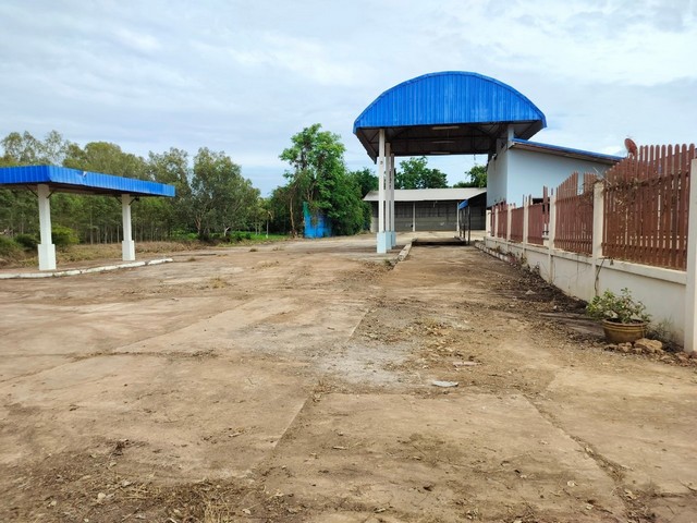 ขายโรงงานพร้อมที่ดิน     พรหมพิราม พิษณุโลก (PAP-2-0180)