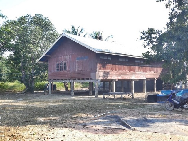 รายละเอียดเพิ่มเติมCode ID : PAP-7-0236ราคาขาย      637,000 บาท- ขนาดพื้นที่ :  540 ตร.ว (1 ไร่ / 1 งาน / 40 ตร.ว)- พื้นที่ใช้สอย :   197.50 ตรม.- จำนวนห้อง : - ห้องนอน - ห้องน้ำ- ที่จอดรถ :    1-2 คัน- บ้านไม้ใต้ถุนสูงพร้อมที่ดิน :  1 ชั้น- บ้านไม้ใต้ถุนสูงพร้อมที่ดินหันทางทิศ : -พิกัดทรัพย์ :    https://maps.app.goo.gl/C2xfub5z6K8Wvfyc6สถานที่ใกล้เคียง- ใกล้โรงเรียนบ้านหนองหูช้าง- ใกล้โรงเรียนอนุบาลพุทธชาติ- ใกล้โรงเรียนบ้านนิคม- ใกล้โรงเร�