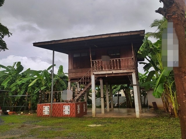 รายละเอียดเพิ่มเติมCode ID : PAP-6-0413ราคาขาย      623,000 บาท- ขนาดพื้นที่ :  95 ตร.ว - พื้นที่ใช้สอย :   38.75 ตรม.- จำนวนห้อง : - ห้องนอน - ห้องน้ำ- ที่จอดรถ :    1-2 คัน- บ้านไม้ใต้ถุนสูงพร้องที่ดิน :  1 ชั้น- บ้านไม้ใต้ถุนสูงพร้องที่ดินหันทางทิศ : -พิกัดทรัพย์ :    https://maps.app.goo.gl/WPhrnnexjCWpE8dF8สถานที่ใกล้เคียง- ใกล้โลตัส โกเฟรช ซูเปอร์มาร์เก็ต ตะพานหิน- ใกล้วัดเทวประสาท- ใกล้โรงเรียนตะพานหิน- ใกล้วัดธงไทยยารามสอบถ�