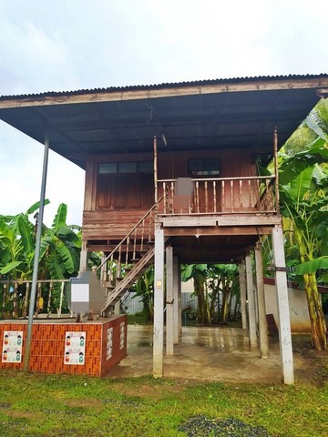 ขายบ้านไม้ใต้ถุนสูงพร้องที่ดิน   ตะพานหิน พิจิตร (PAP-6-0413)