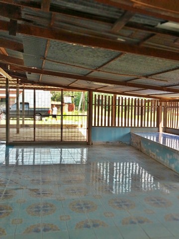 ขายครึ่งตึกครึ่งไม้   โพธิ์ประทับช้าง  พิจิตร (PAP-1-0072)