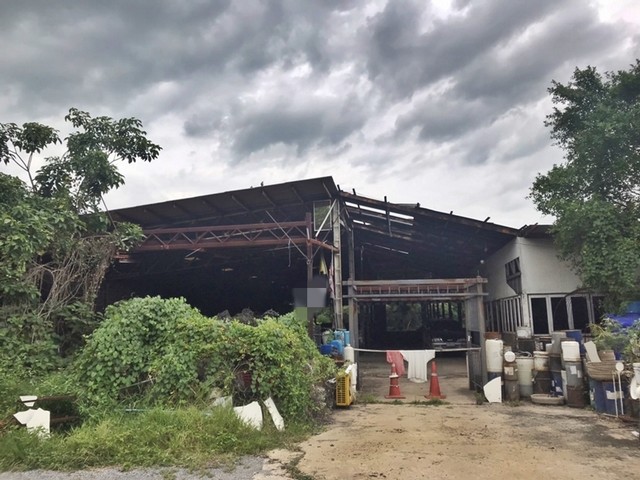 รายละเอียดเพิ่มเติมCode ID : PAP-5-0099ราคาขาย     15,888,000 บาท- ขนาดพื้นที่ :  10,272 ตร.ว (25 ไร่ / 2 งาน / 72 ตร.ว)- พื้นที่ใช้สอย :   2,400 ตรม.- จำนวนห้อง :   - ห้องนอน - ห้องน้ำ - ที่จอดรถ :   1 คัน- โรงงาน  :   1 ชั้น- โรงงานหันทางทิศ :    -พิกัดทรัพย์ :   https://maps.app.goo.gl/kdRXPygvdHHJqKh89สถานที่ใกล้เคียง- ใกล้ซีเจ ซูเปอร์มาร์เก็ต สาขาบางไทร- ใกล้โรงเรียนวัดโบสถ์สมพรชัย- ใกล้วัดบางคล้าบุปผานิการาม- ใกล้วัดสิงห์สุทธาวาสสอบถามเพิ่มเต�