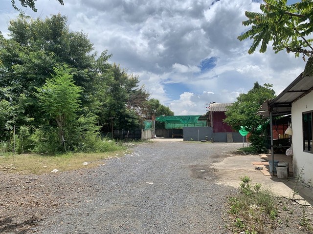 รายละเอียดเพิ่มเติมCode ID : PAP-ZC_001ราคาขาย     7,300,000 บาท- ขนาดพื้นที่ :  627 ตร.ว (1 ไร่ / 2 งาน / 27 ตร.ว)- พื้นที่ใช้สอย :   789 ตรม.- จำนวนห้อง :   - ห้องนอน - ห้องน้ำ - ที่จอดรถ :   1 คัน- โรงงานพร้อมที่ดิน  :   1 ชั้น- โรงงานพร้อมที่ดินหันทางทิศ :    -พิกัดทรัพย์ :   https://maps.app.goo.gl/MBWSg5qKEMPbf9gG6สถานที่ใกล้เคียง- ใกล้โลตัส บางปะอิน- ใกล้โลตัส นวนคร- ใกล้โลตัส คลองหลวง- ใกล้แม็คโคร อยุธยาสอบถามเพิ่มเติม/นัดชมโทร. 097-419-5982(พลอย)โ�