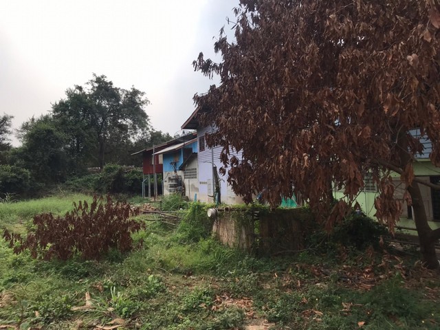 ขายบ้านครึ่งตึกครึ่งไม้  พระนครศรีอยุธยา (PAP-1-0036)