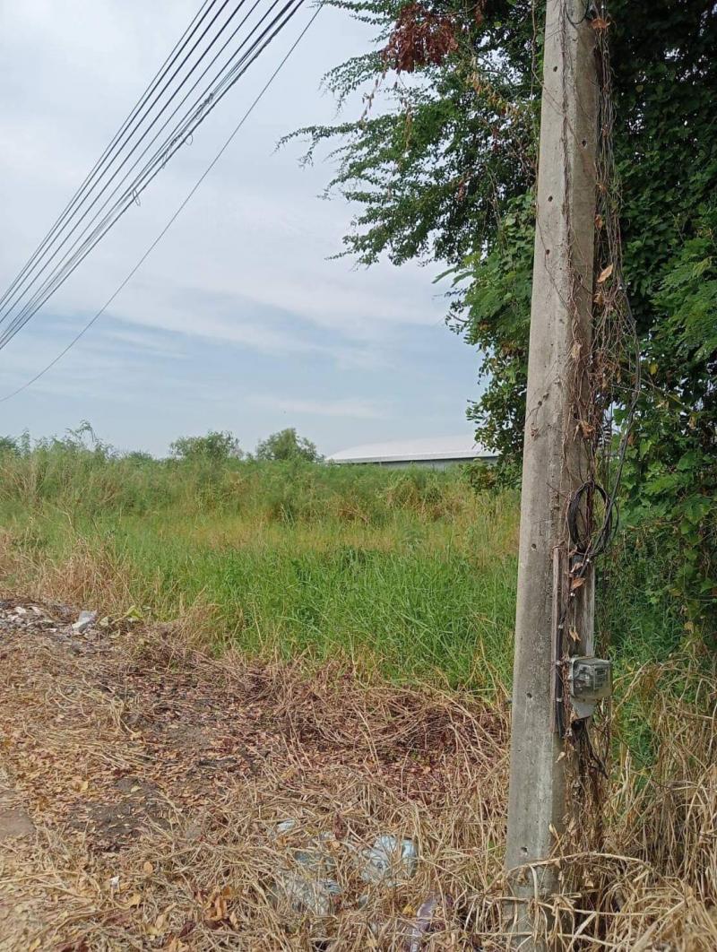 ขายที่ดินสวย ทำเลดี ติดถนนสระบุรี-หล่มสัก ใกล้ทางขึ้นเขาค้อ หน้ากว้างติดถนน 134 เมตร ต.นางั่ว อ.เมือง จ.เพชรบูรณ์ที่ตั้ง : ต.นางั่ว อ.เมือง จ.เพชรบูรณ์https://maps.app.goo.gl/MMfYudsp5EvwmSvm8ขนาดพื้นที่ : 17 ไร่ 3 งาน 4.1 ตารางวารายละเอียดที่ดินสวย ทำเลดี ติดถนนสระบุรี-หล่มสัก ใกล้ทางขึ้นเขาค้อ หน้ากว้างติดถนน 134 เมตรเหมาะสำหรับทำบ้านจัดสรร ที่ดินจัดสรร ปั้มน้ำมัน สถานีชาร์ตแบตเตอรี่รถไฟฟ้