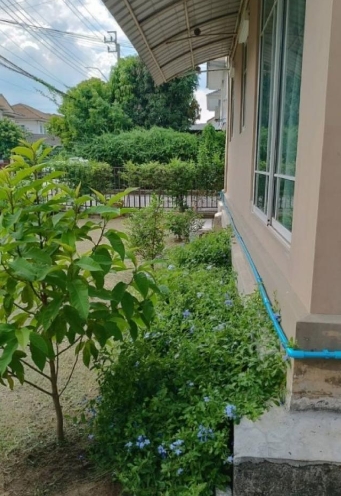 ให้เช่าบ้านเดี่ยว2 ชั้น มบ.ภัสสร 21 พระราม 9-วงแหวน ซอยพัฒนาชนบท 4