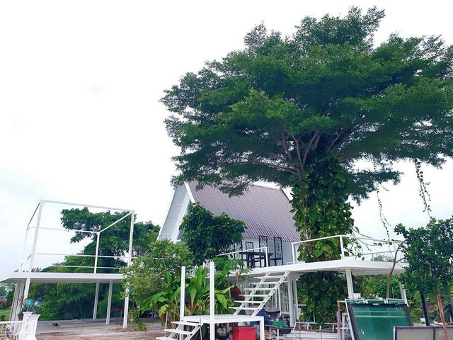 ขายกิจการรีสอร์ทติดแม่น้ำท่าจีน เนื้อที่ 3 ไร่ 2 งาน 90 ตารางวา  กระทุ่มแบน สมุทรสาคร    ZJ093