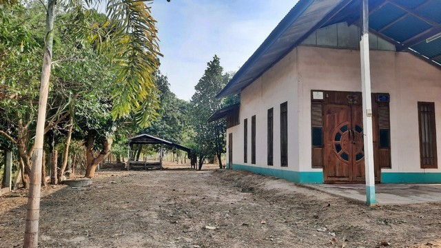 ขาย ที่ดินพร้อมสิ่งปลูกสร้าง บ้านพักอาศัยตึกชั้นเดียว   ต.เชียงใหม่ อ.โพธิ์ชัย จ.ร้อยเอ็ด  PAP6-0392