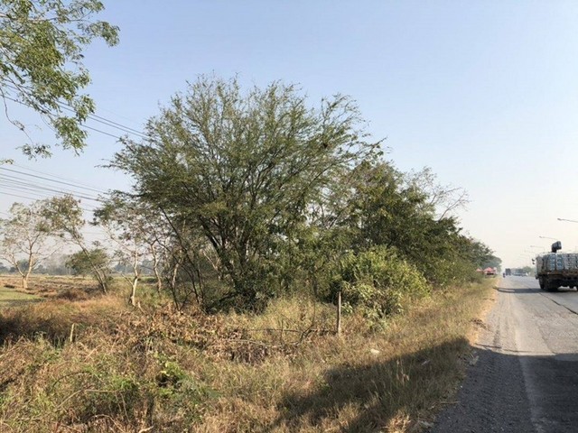 ขายที่ดิน ต.หนองกระทุ่ม อ.เมืองนครราชสีมา จ.นครราชสีมา PAPVC_20