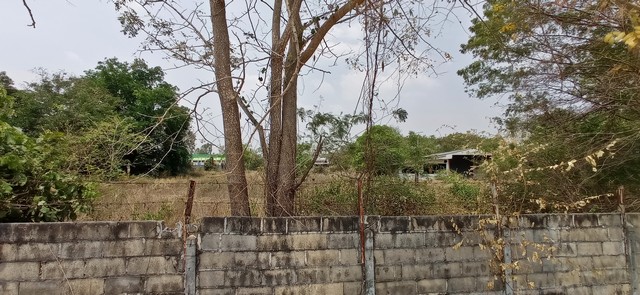 ขาย ที่ดินพร้อสิ่งปลูกสร้าง ต.ใหม่ อ.โนนสูง จ.นครราชสีมา  PAP7-0537