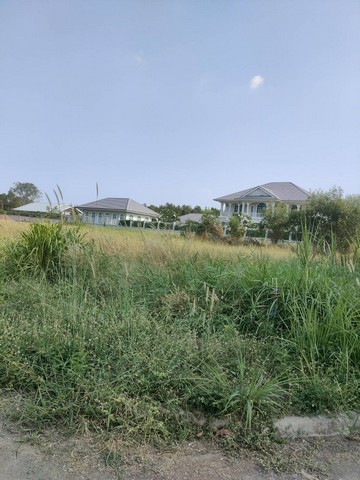 ขายที่ดิน 1 ไร่ โครงการหมู่บ้านตะวันธรรม ตำบลคลองสอง  อำเภอคลองหลวง ปทุมธานี