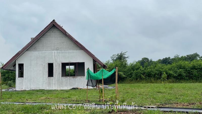 ขายที่ดิน ทำสวนเกษตร ปลูกผักขาย  ราคาเริ่มต้นที่ 3,150 บาท ผ่อนยาวๆ 120 เดือน เพชรบูรณ์