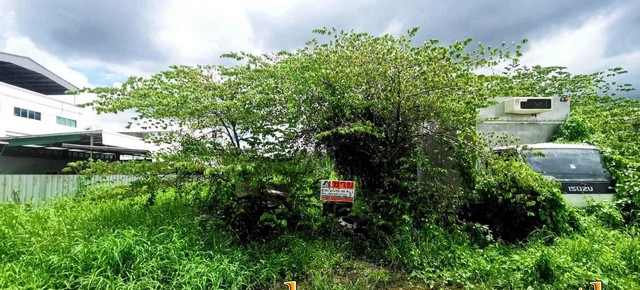 พื้นที่ดิน ใกล้เสถียรธรรมสถาน โรงพยาบาลสินแพทย์ โรงพยาบาลพญาไทนวมินทร์ สวนกีฬารามอินทรา วัดพระศรีมหาธาตุ (ที่ดินน่าลงทุน) พื้นที่ 100 ตร.วา  ไม่ไกลจาก ใกล้เซ็นทรัลรามอินทรา ใกล้สนามบินดอนเมือง ตลาดถนอมมิตร ตลาดเลียบทางด่วน เดินทางสะดวก ซื้อหาอาหารสบาย ใกล้เสถียรธรรมสถาน โรงพยาบาลสินแพทย์ โรงพยาบาลพญาไทนวมินทร์ สวนกีฬารามอินทรา วัดพระศรีมหาธาตุ (ที่ดินน่าลงทุน) เดินทาง สะดวก