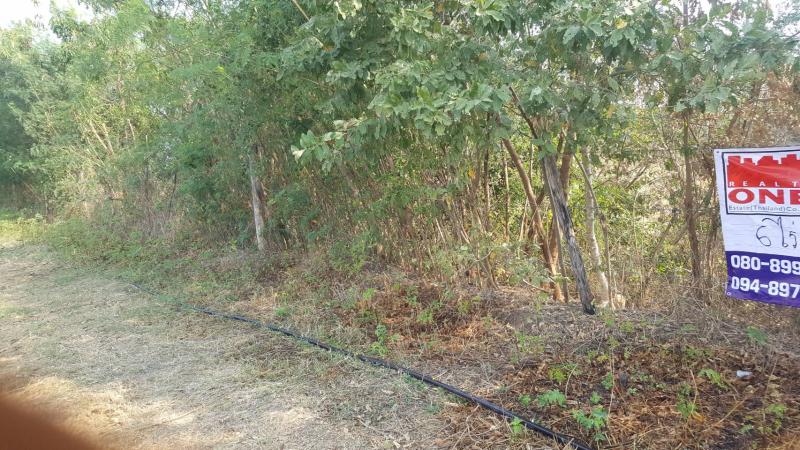 ขายที่ดินเปล่า สวย ทำเลทอง ที่ดินเปล่า ต. อิสาณ จ. บุรีรัมย์