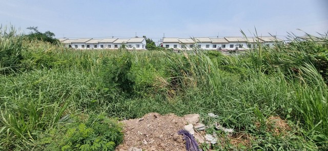 ขายที่ดินใกล้มหาวิทยาลัยธรรมศาสตร์ 2 ไร่ ซ.เทพกุญชร 27 คลองหนึ่ง คลองหลวง ปทุมธานี