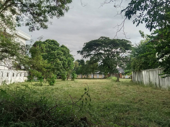 cx ขายที่ดิน ม.เทพธานี ซอย 3 ถนนเฉลิมพระเกียรติ ร.9 โทร.088-818-1859