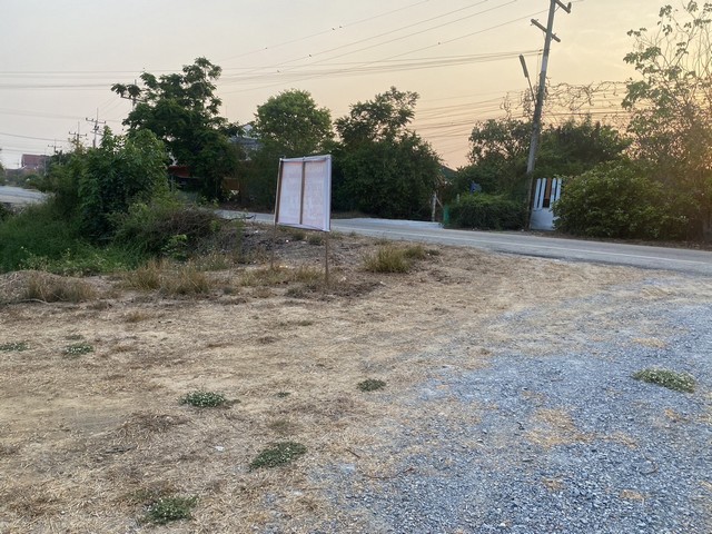 ขายที่ดินติดถนนด่วน สุพรรณบุรี อ.เมืองสุพรรณบุรี ต.โพธิ์ทอง