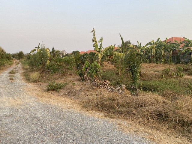 ขายที่ดินติดถนนด่วน สุพรรณบุรี อ.เมืองสุพรรณบุรี ต.โพธิ์ทอง