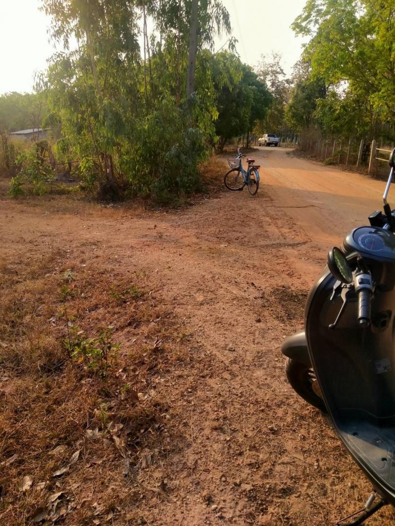 ขายที่ดิน 20 ไร่   เจ้าของขายเอง อำเภอกุฉินารายณ์ จังหวัดกาฬสินธุ์