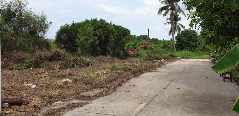 ขายที่ดินเปล่าทำเลดี 368 ตารางวา ตำบลบางใหญ่ อำเภอบางใหญ่ นนทบุรี