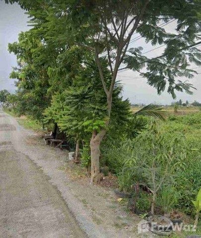 ขายที่ดินติดซอยสามวัง บางบัวทอง 10 ไร่กว่า ติดถนน ราคาถูก