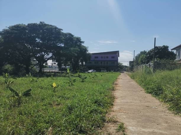 ลดราคาขายด่วน​ มองหานักลงทุนทำบ้านขาย​ ​ขายที่ดินทำเลทอง​ ติดน้ำ ถนน น้ำ ไ​ฟพร้อม บรรยากาศ​ร่มรื่น​ เย็นสบาย สามารถ​รวมโฉนดแบ่ง​ใหม่​ได้​