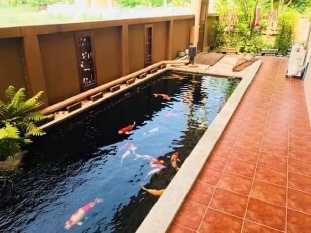 ให้เช่า 45,000 บาท ขาย 8.9 ล้าน 400 ตรว. 3 นอน 4 น้ำ ชมภู สารภี บ้านนอกโครงการ ถนนเชียงใหม่-ลำพูน ใกล้ไทวัสดุ เพียง 600 ม.