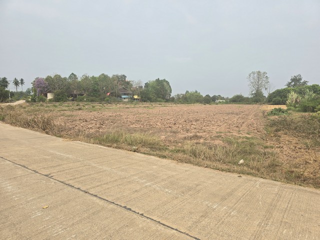 ขายที่ดินเปล่า ติดถนนคอนกรีต 3 ไร่ 2 งาน 26 ตร.วา ต.บึงพระ อ.เมืองพิษณุโลก