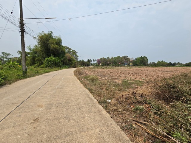 ขายที่ดินเปล่า ติดถนนคอนกรีต 3 ไร่ 2 งาน 26 ตร.วา ต.บึงพระ อ.เมืองพิษณุโลก
