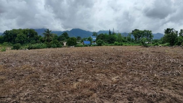 ขายบ้านพร้อมที่ดิน จำนวน 15 ไร่ อำเภอปาย จังหวัดแม่ฮ่องสอน