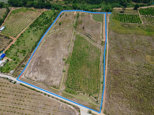 ขายด่วน พื้นที่ดิน ที่ดิน หนองหญ้าปล้อง จ.เพชรบุรี 88 sq.wa 1 ngan 83 ไร่  ใกล้ โรงเรียนหนองหญ้าปล้องวิทยา และชุมชนหนองหญ้าปล้อง 2 กม. ราคา ดี