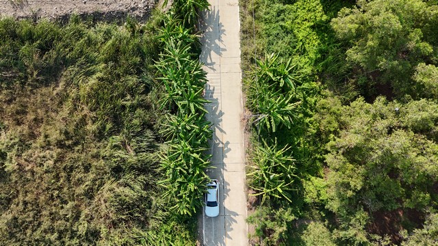 ขายที่ดินถูกมาก ไร่ละ3.65M ซ.วัดเพิ่มทาน ถ.ปูน คลอง 4 มี2ไร่ แบ่งขายได้